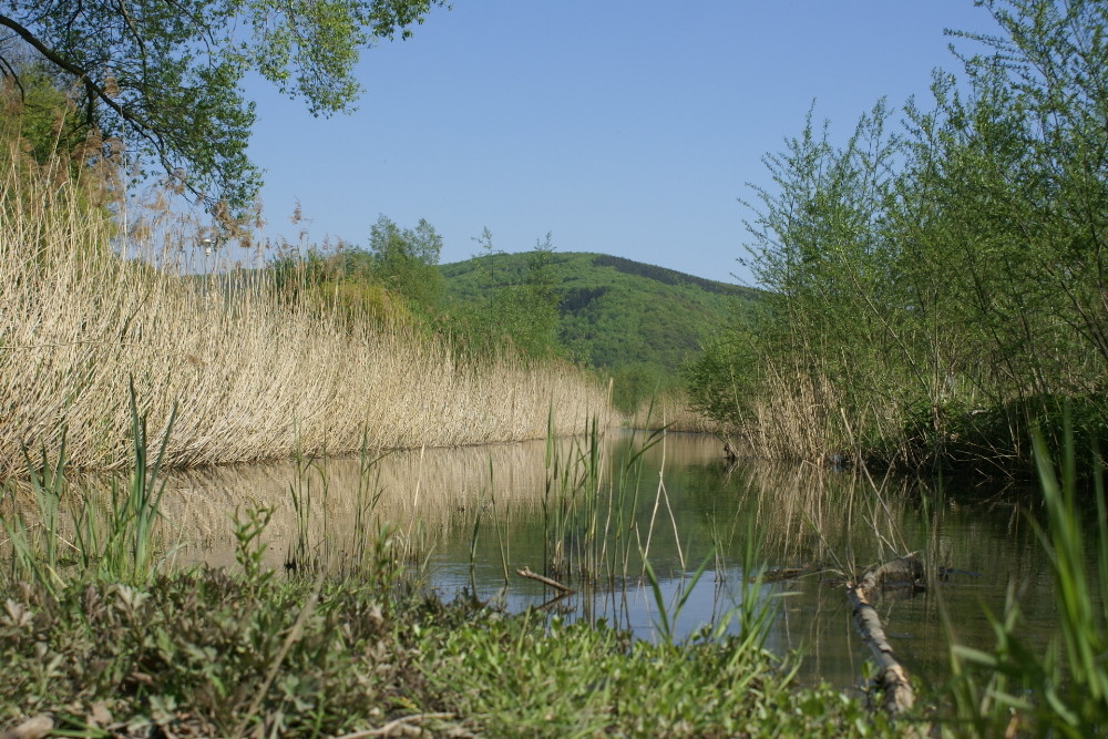 Meine neue Heimat am Wienerwald See