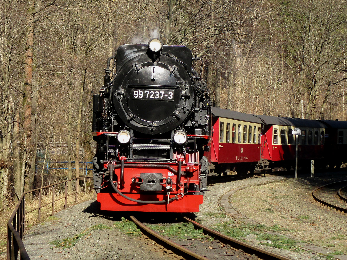 Meine neue HSB Lieblings Dampflok in Eisfelder Talmühle.