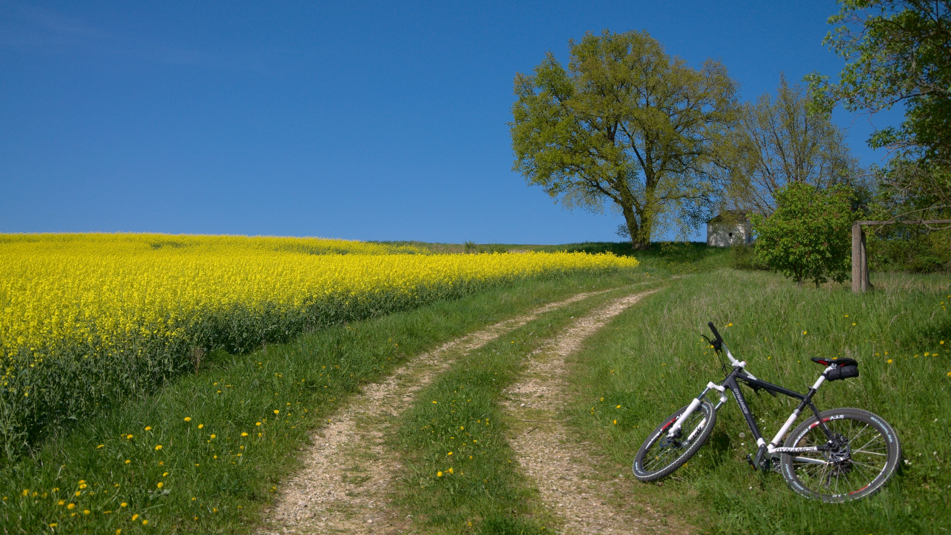 Meine niederbayerische Heimat Niederbayern