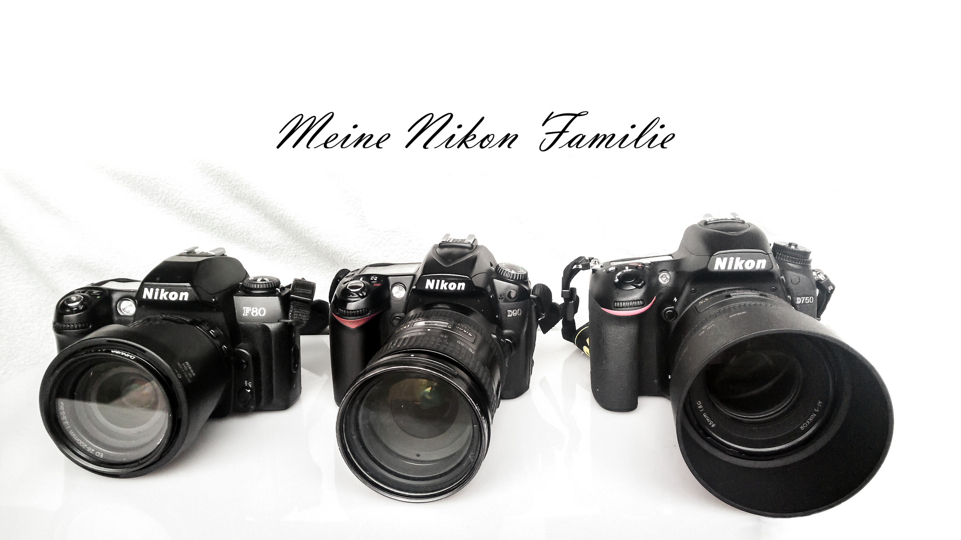 Meine Nikonfamilie