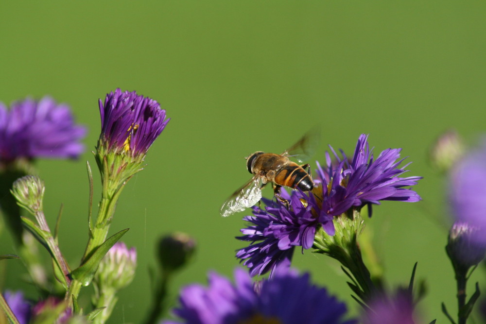 Meine (O.K.: unsere...) neue EOS 400 D !!!