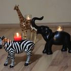 Meine Partylite Tiere