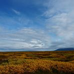 Meine persönlich bevorzugte Reisezeit in Island: Nicht nur wegen den Herbstfarben…..