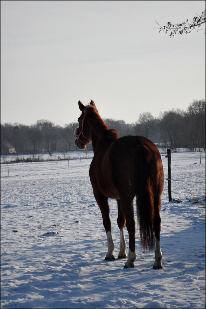 Meine Prinzessin :)