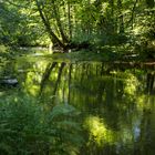 meine Region: der Brölbach, ein rechter Nebenfluss der Sieg