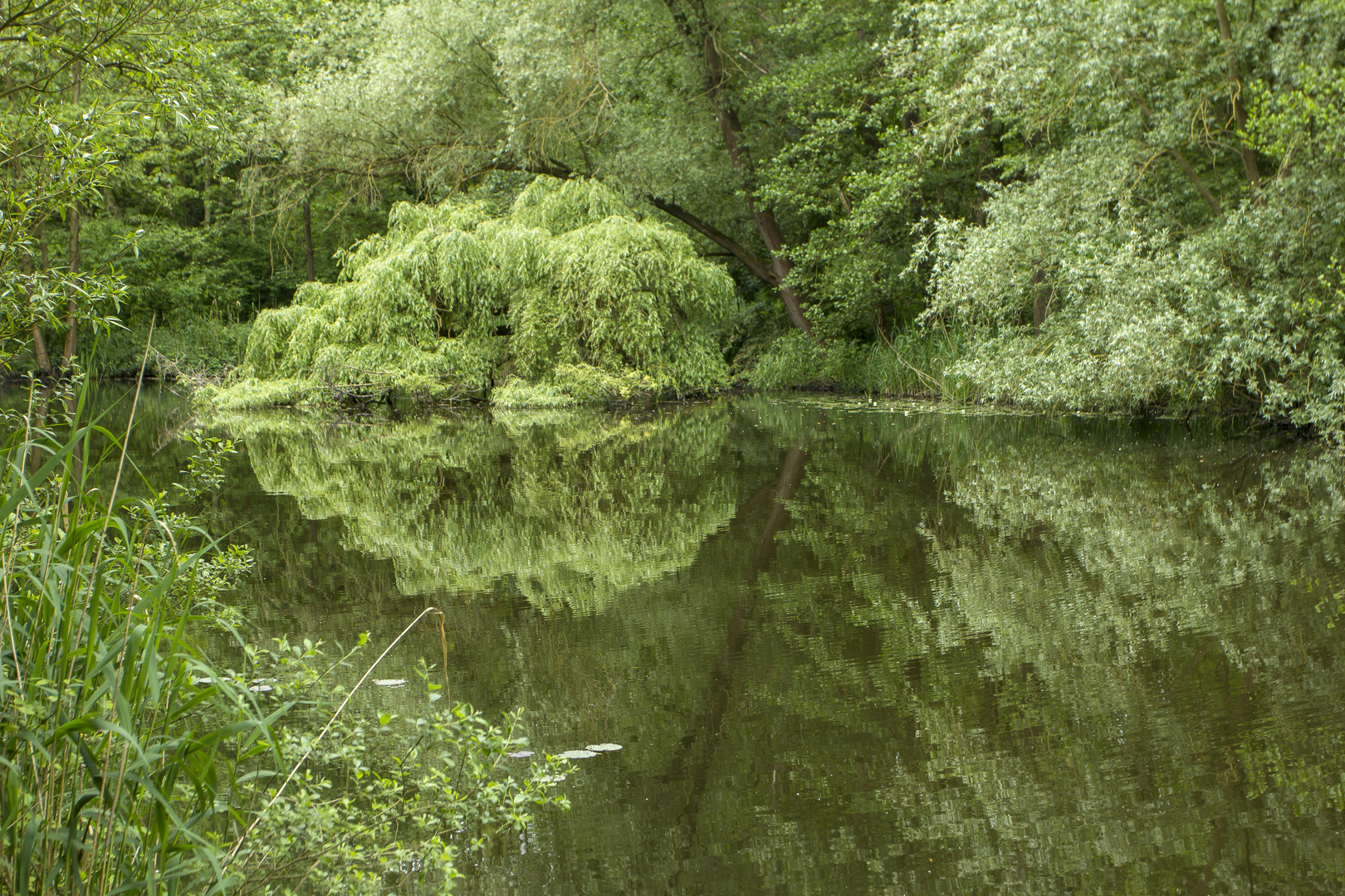 meine Region: der Margarethenweiher in der Ville,