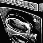 Meine Rolleiflex