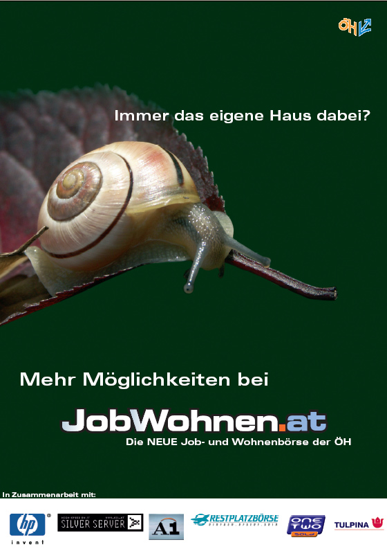 Meine Schnecke schaut sich Östereich an