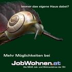 Meine Schnecke schaut sich Östereich an