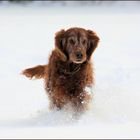 *Meine Schneekönigin*