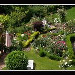 Meine schöne Gartenschau Nr. 10 " mein Rosengarten "
