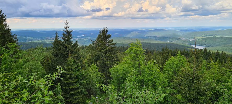 Meine schöne Heimat...