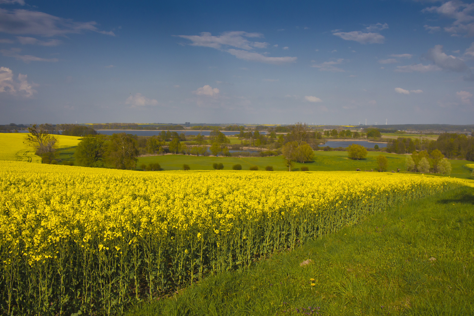 meine schöne Uckermark