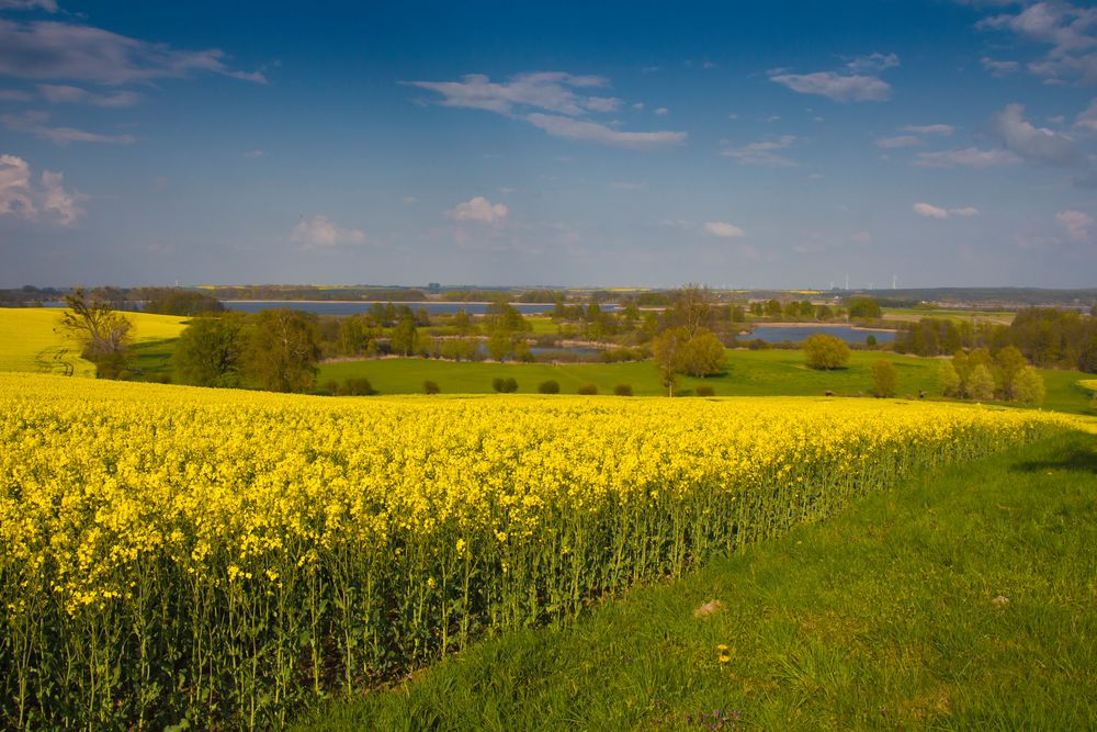 meine schöne Uckermark