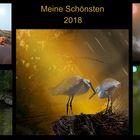 Meine Schönsten 2018 