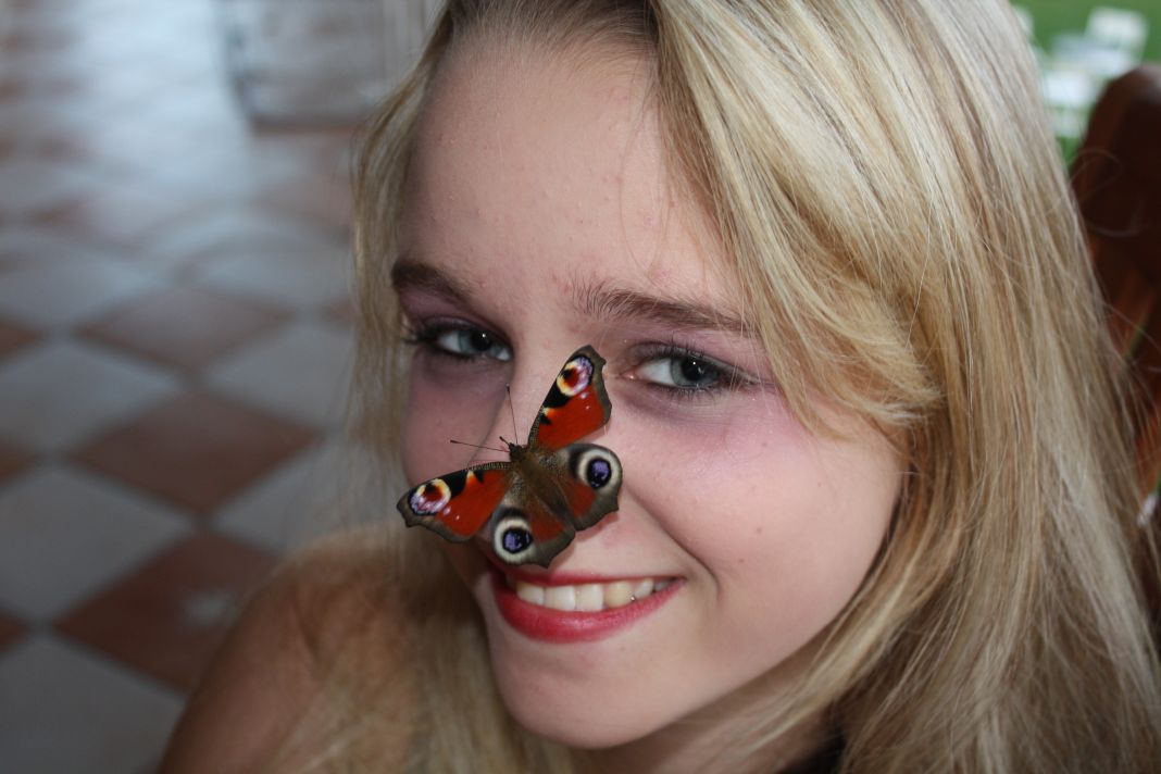 meine Schwester und der Schmetterling