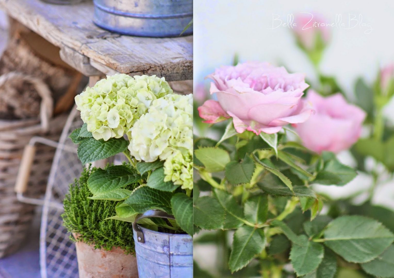 Meine SommerDekoration im Garten 2014