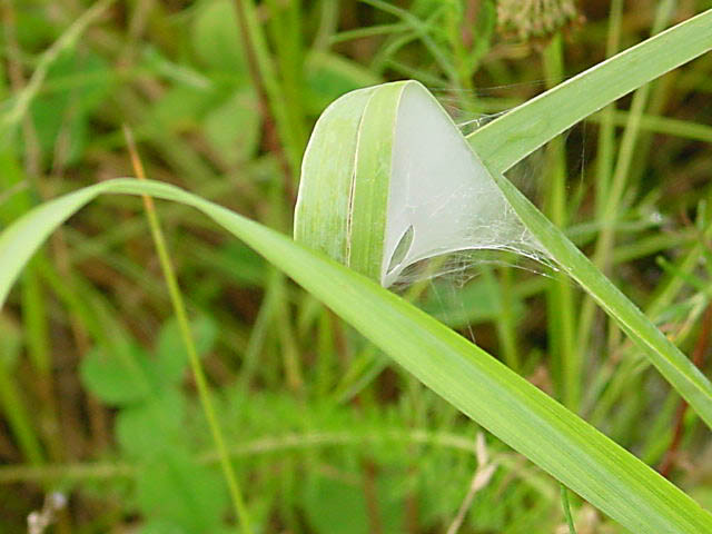 meine Sommervilla