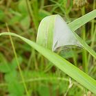 meine Sommervilla