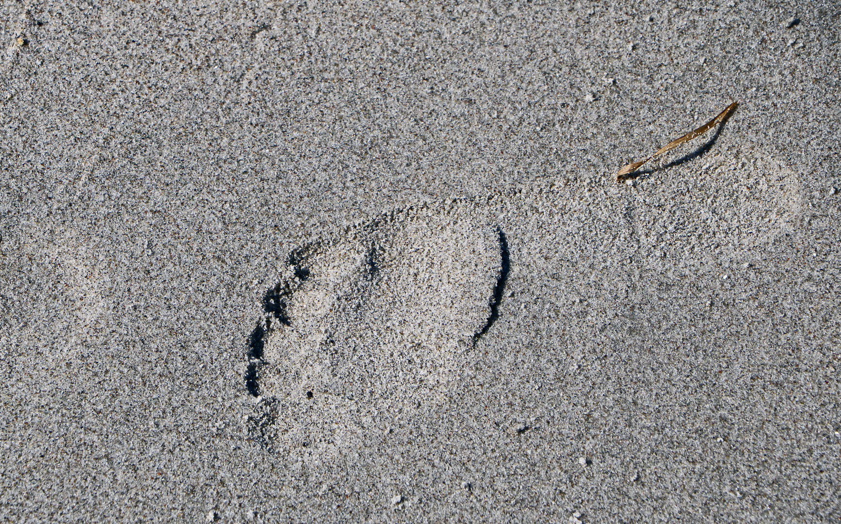 Meine Spuren am Strand