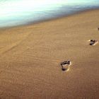 meine Spuren im Sand