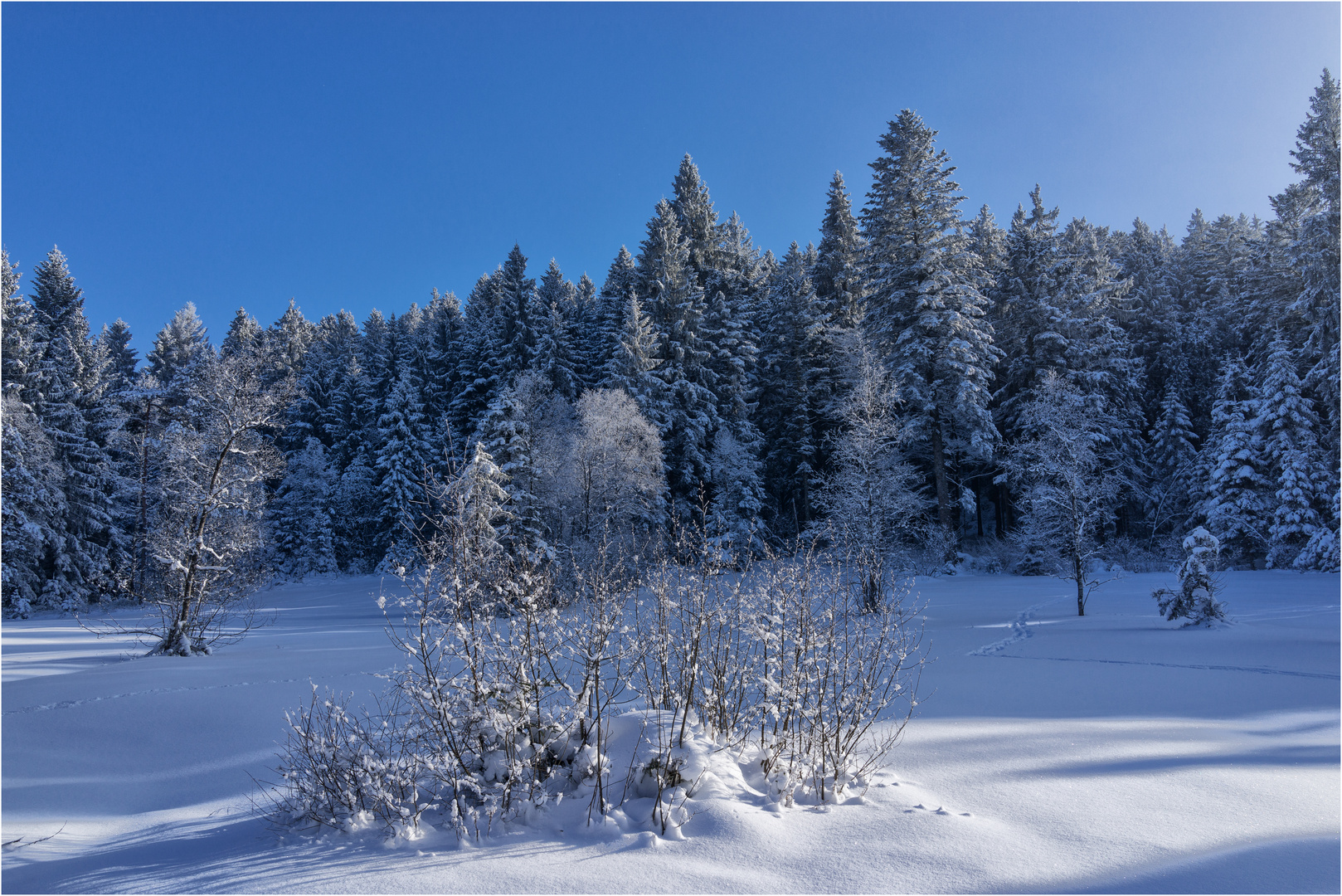 Meine Spuren im Schnee