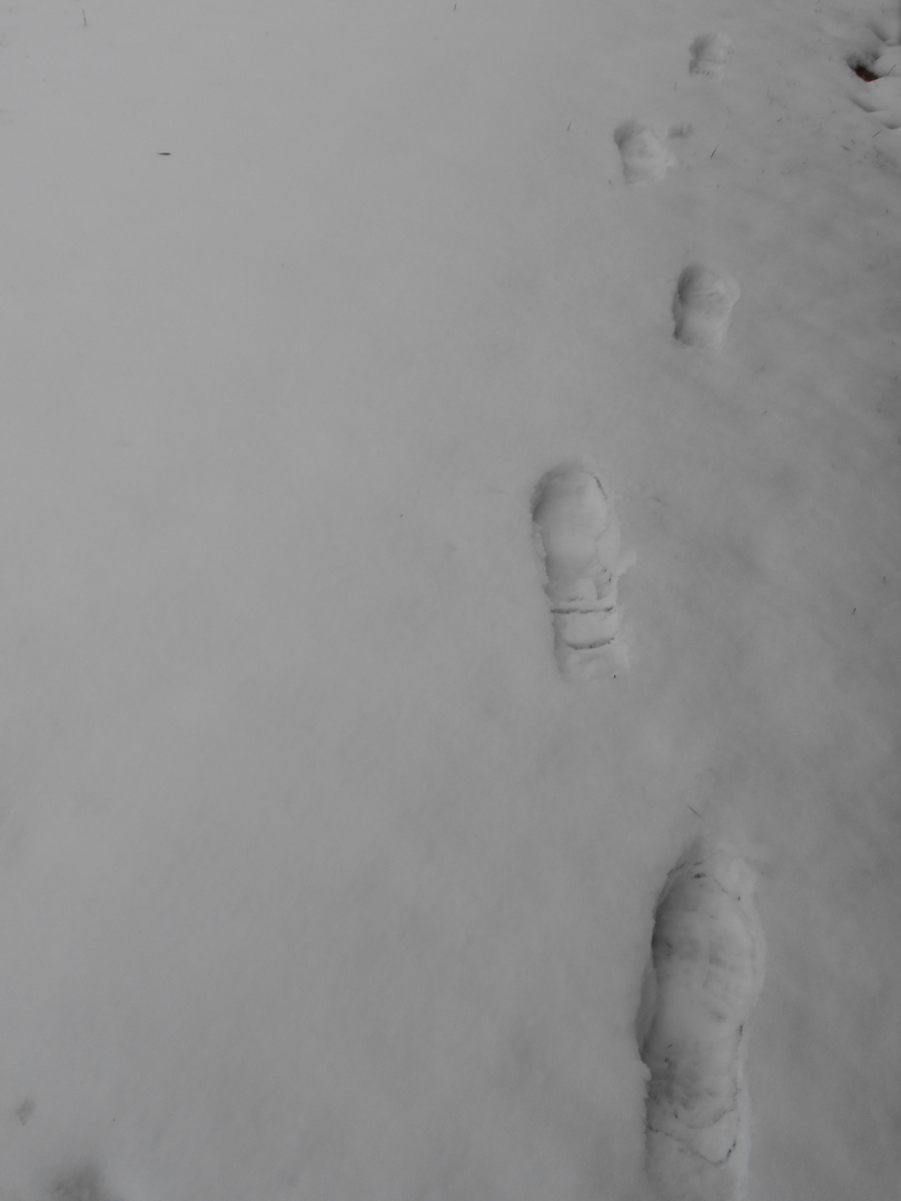Meine Spuren im Schnee