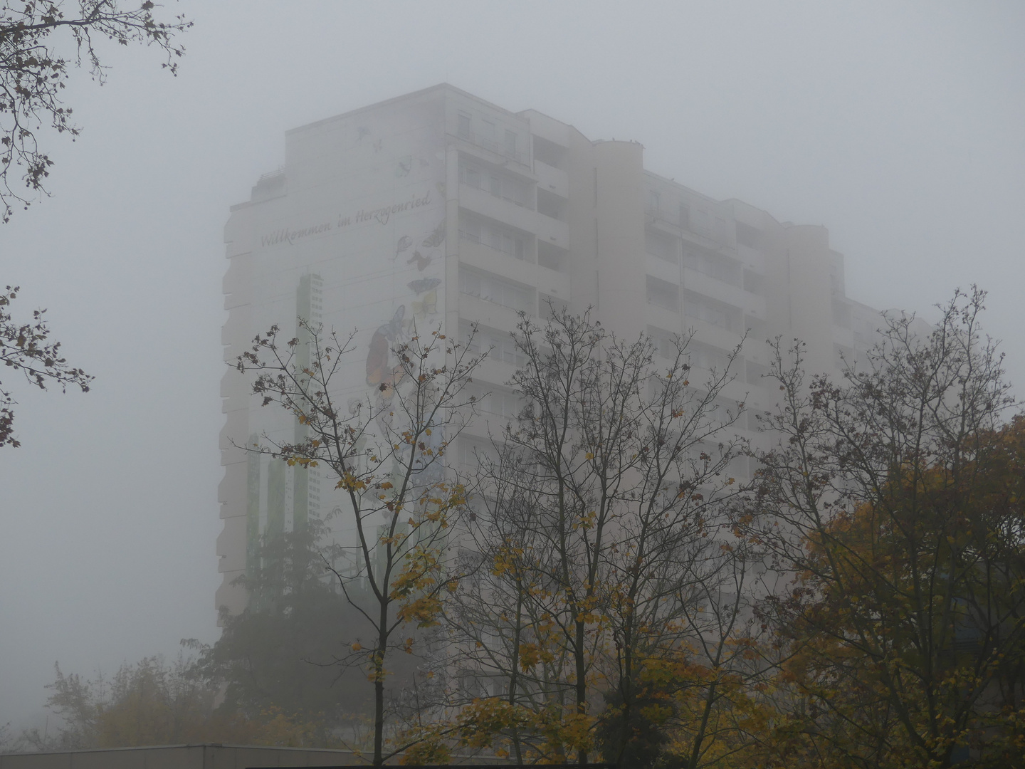 Meine Stadt - Mannheim