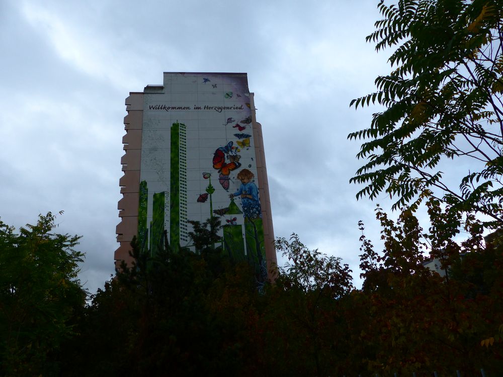 Meine stadt mannheim partnersuche
