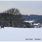 Meine Stadt...2