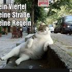 meine Straße -