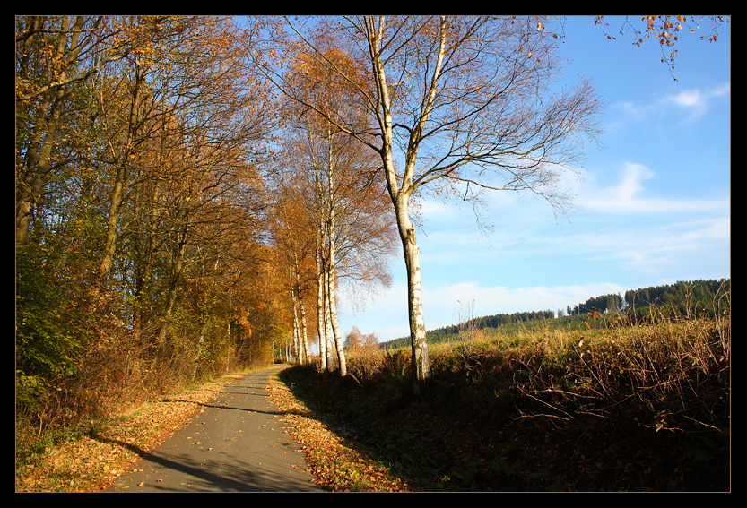 Meine Straße