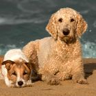 meine Superjungs am Strand