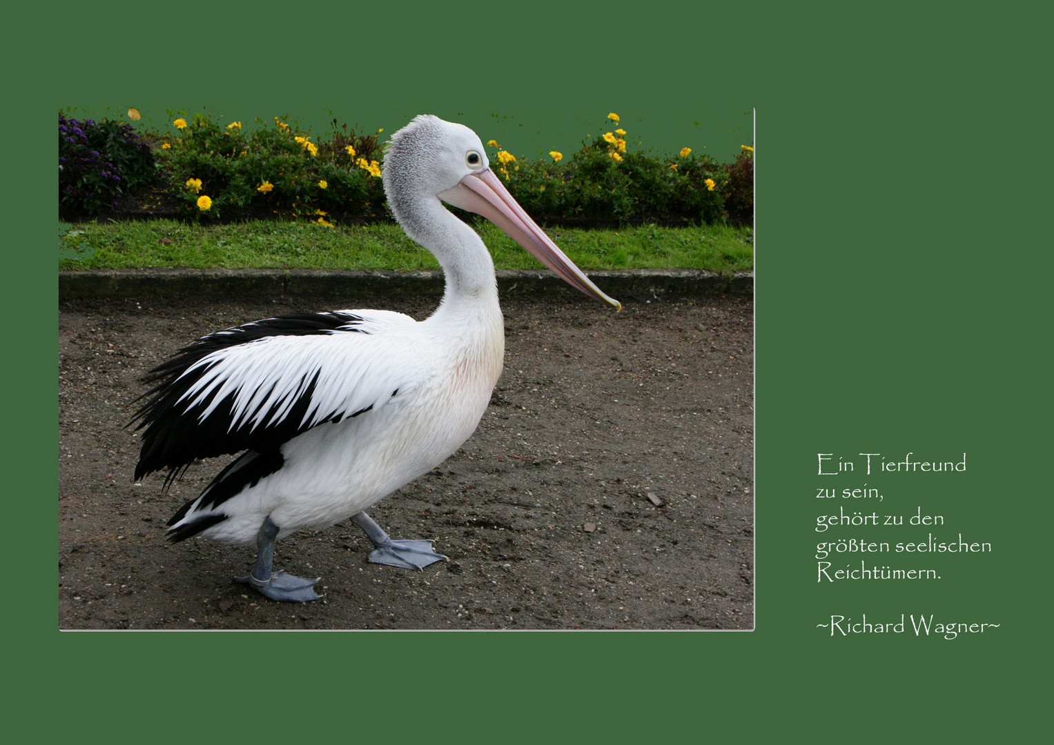 Meine Tierpark-Bekanntschaft