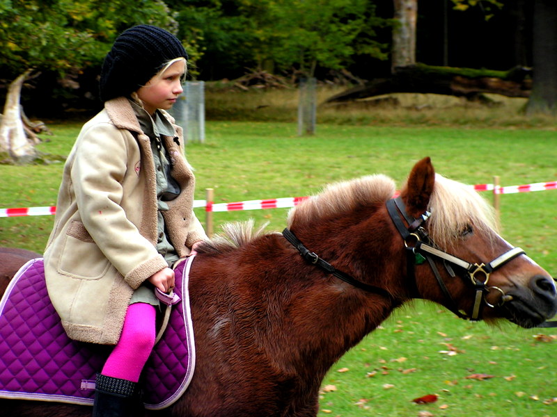 Meine Tochter auf einem Pony