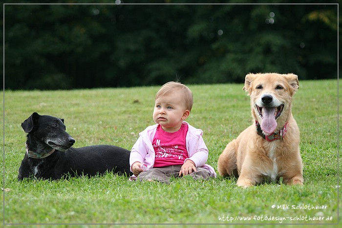 Meine Tochter mit meinen Hunden