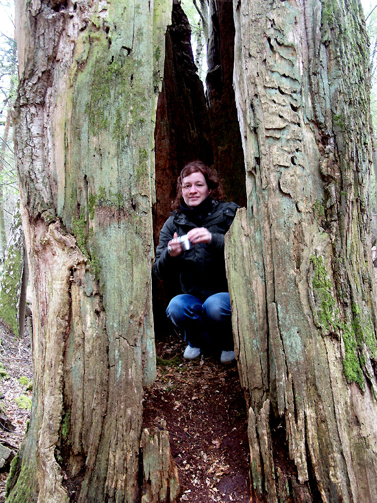 Meine Tochter wohnt im Baum:-)