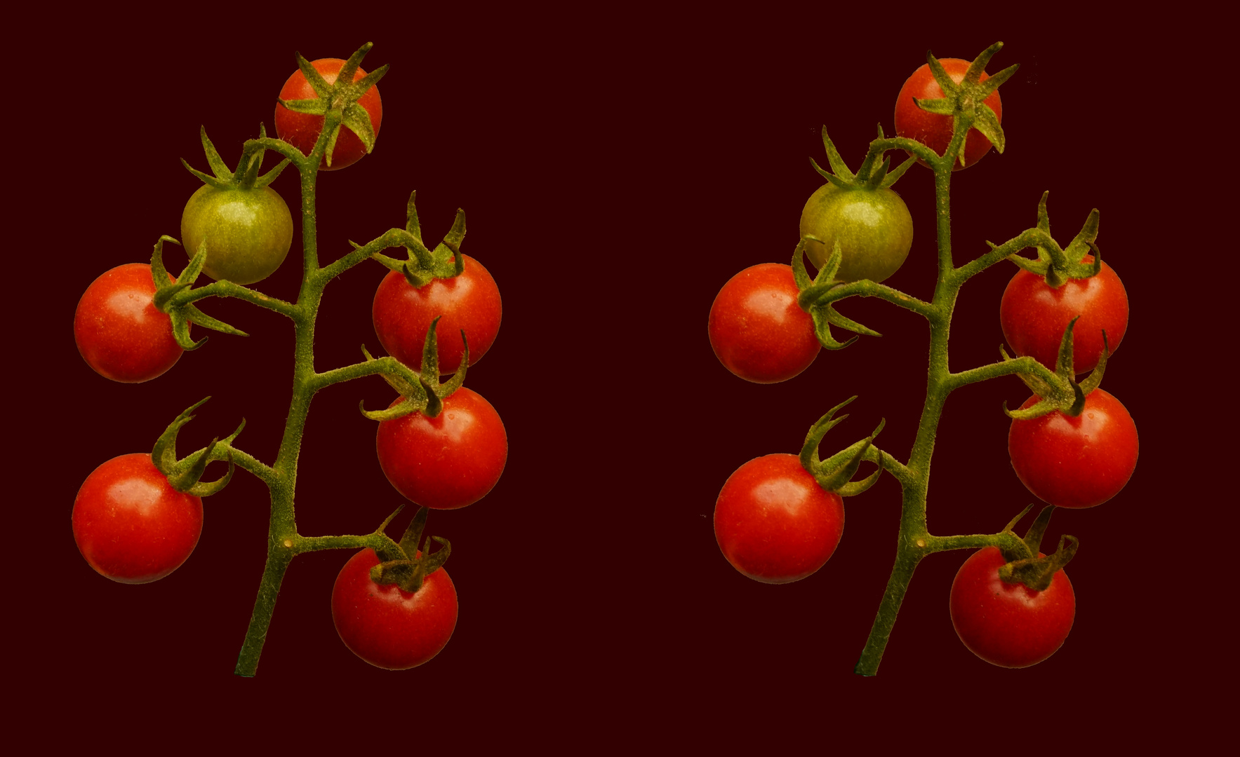 meine Tomaten aus dem Hochbeet (3D-X-View)