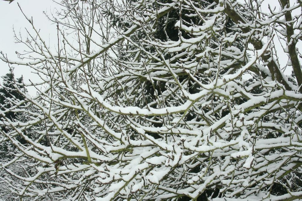 Meine Tour, überall Schnee und so sah ich das Chaos mit anderen Augen