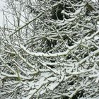 Meine Tour, überall Schnee und so sah ich das Chaos mit anderen Augen