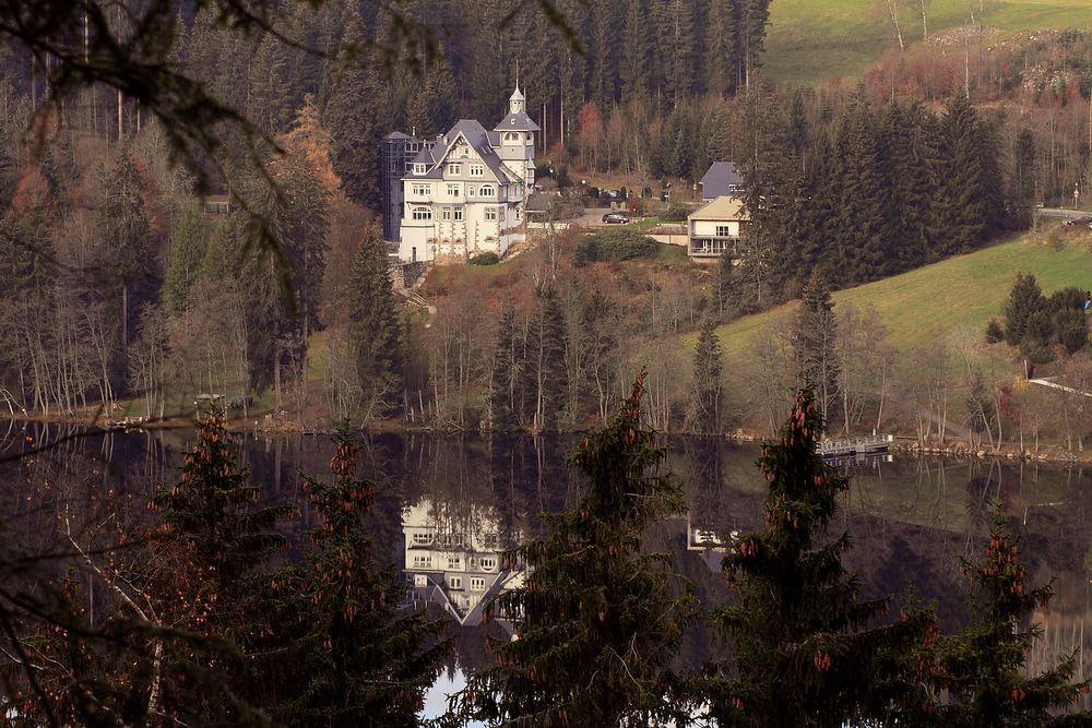 "Meine" Villa am Titisee