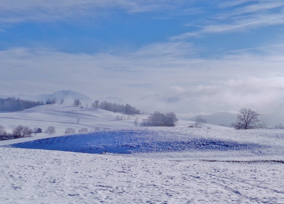 Meine Vorstellung von Winter