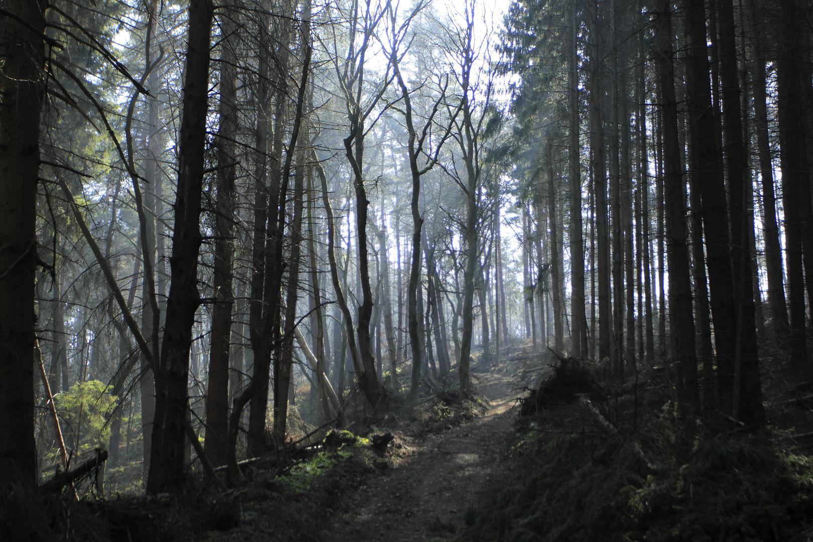 meine Wanderwege 10