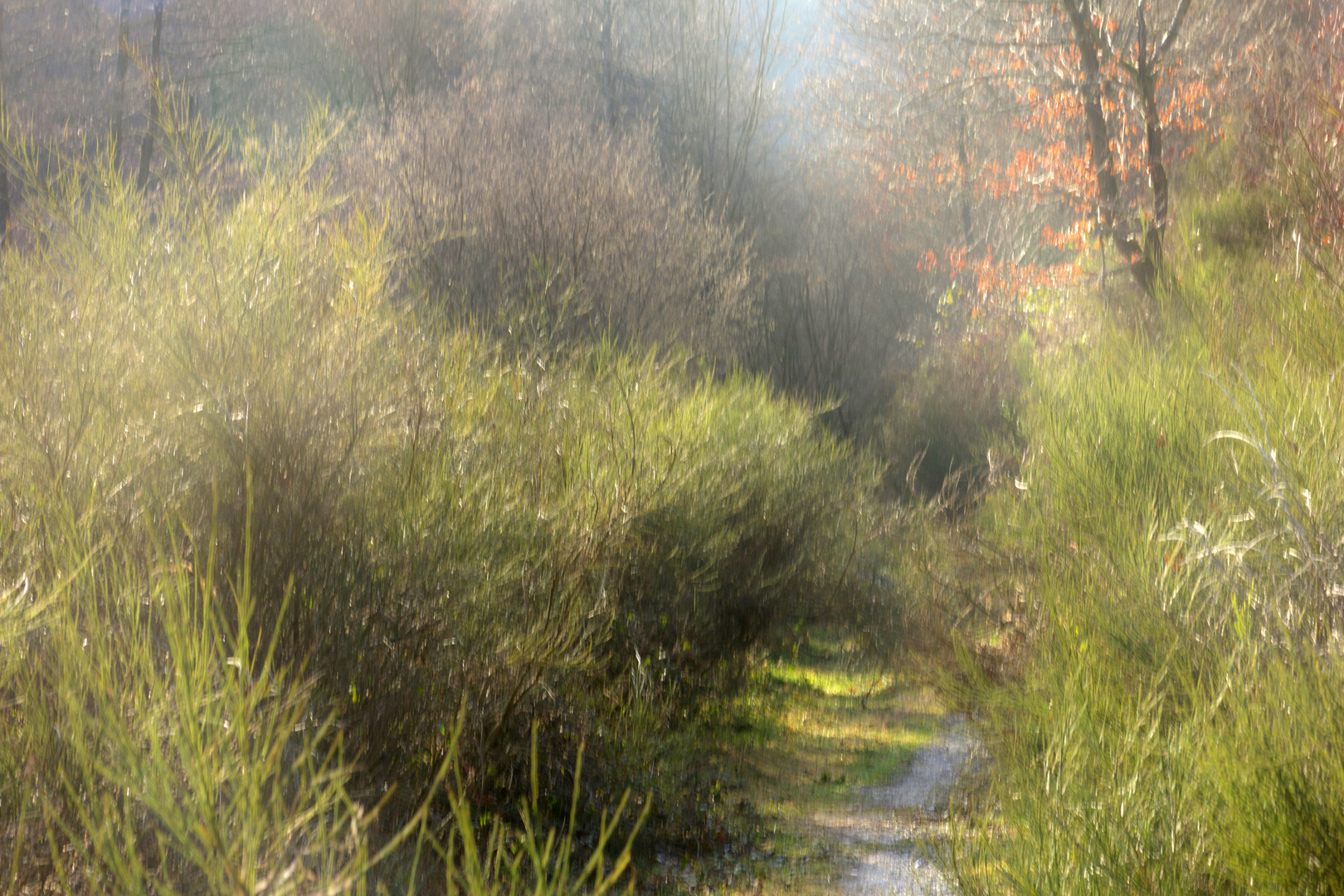 meine Wanderwege 12