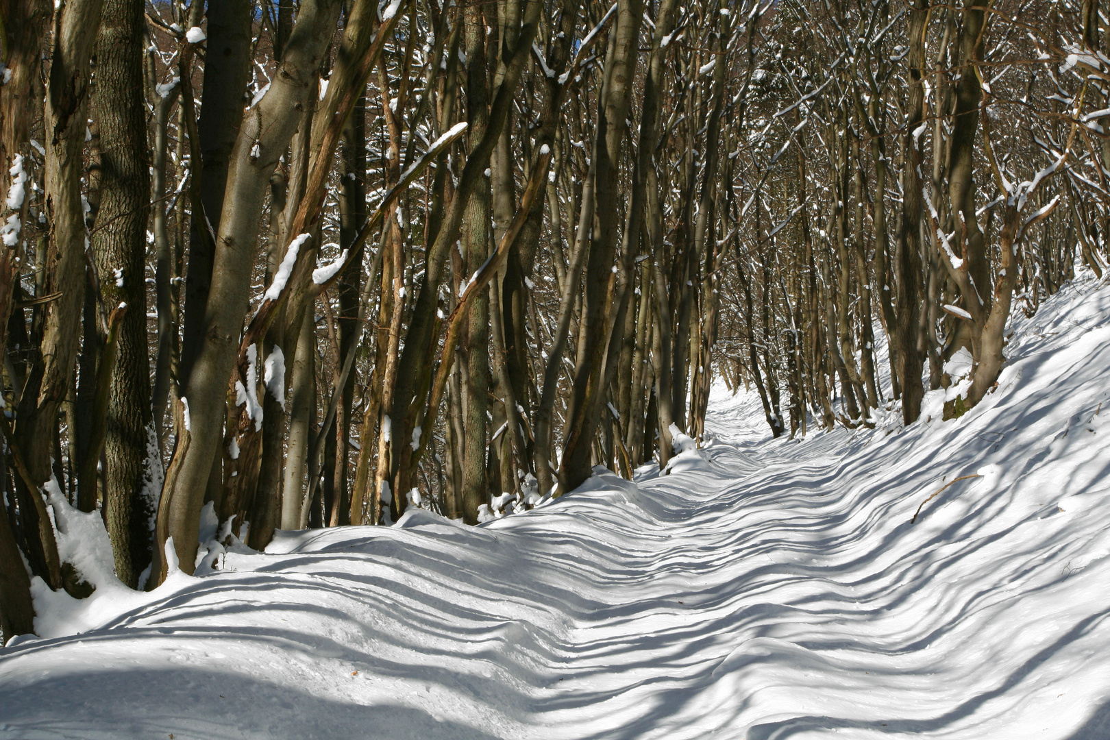 meine Wanderwege 7