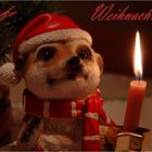 Meine Weihnachtsbotschaft 2011