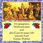 Meine Weihnachtsgrüße 2013