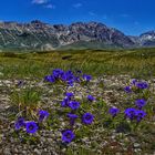 Meine Welt sind die Berge