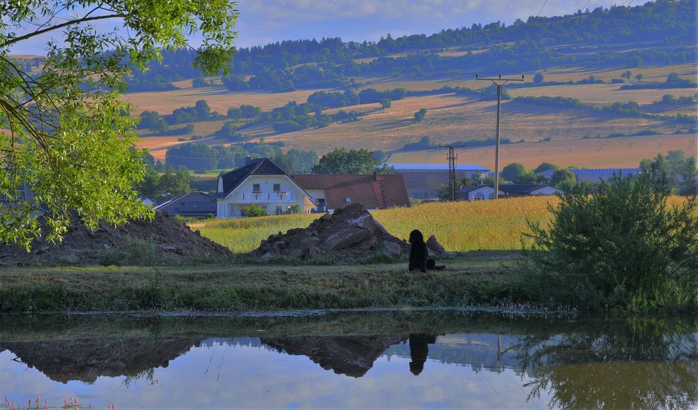 meine Wicky-Emily heute Morgen am See