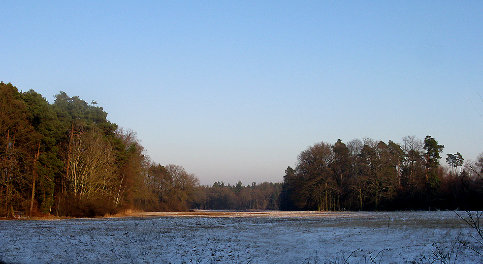 "meine Wiese" vor ein paar Tagen...